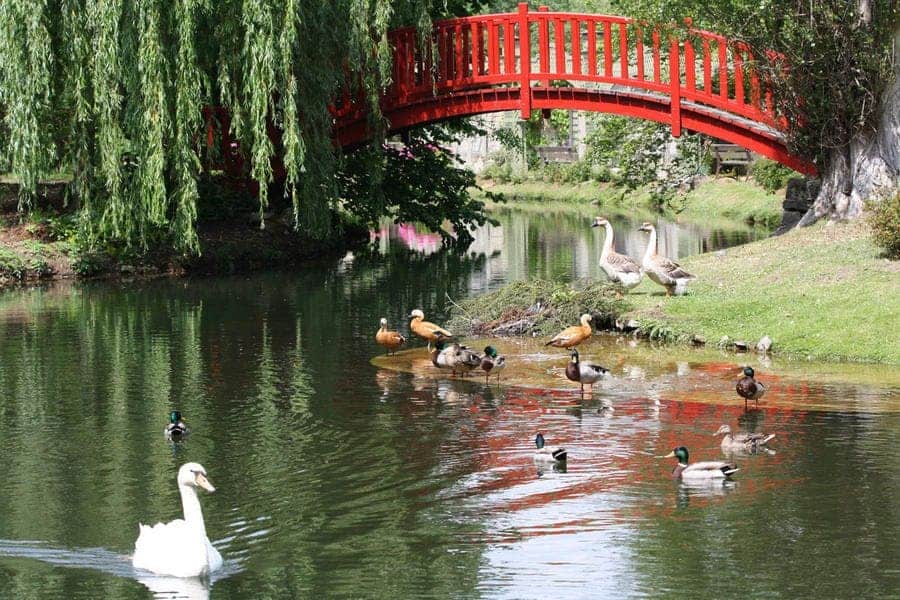 Lac du potager des princes