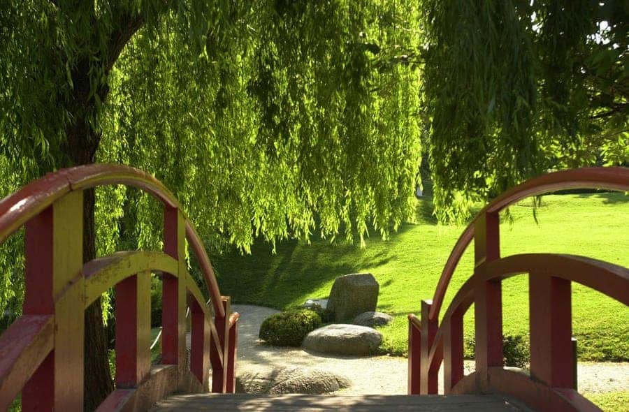 Le jardin japonais à Toulouse