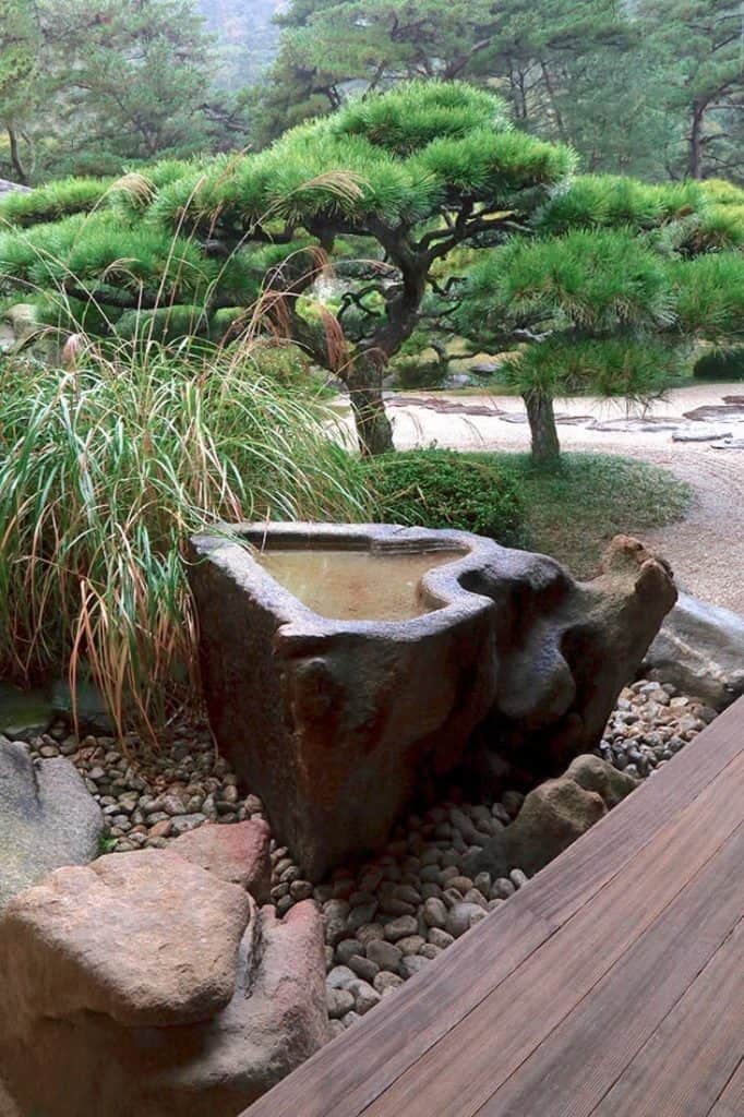 Un bassin d'eau dans un jardin