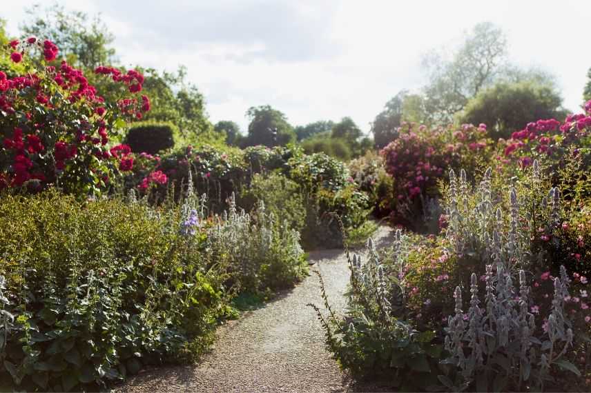 jardin à l'anglaise