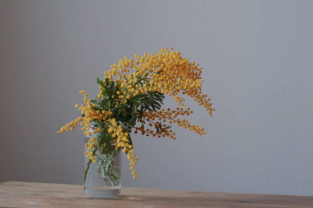 un bouquet de fleurs jaune