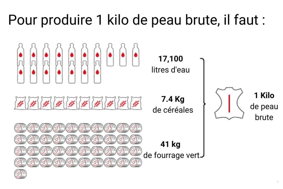 ressources pour la production cuir