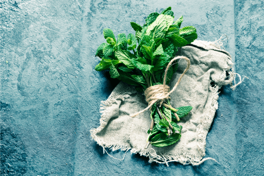 Bouquet de menthe poivrée