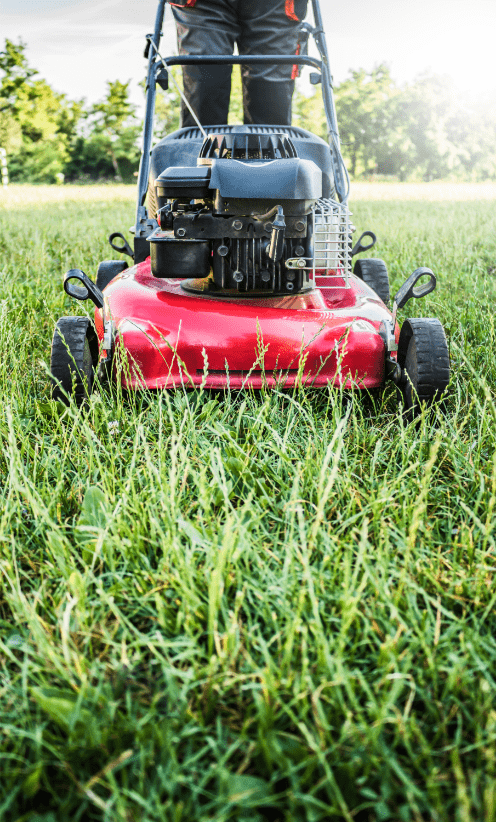 tondre la pelouse