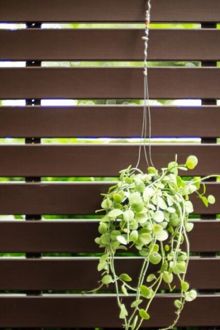 optimiser espace jardin