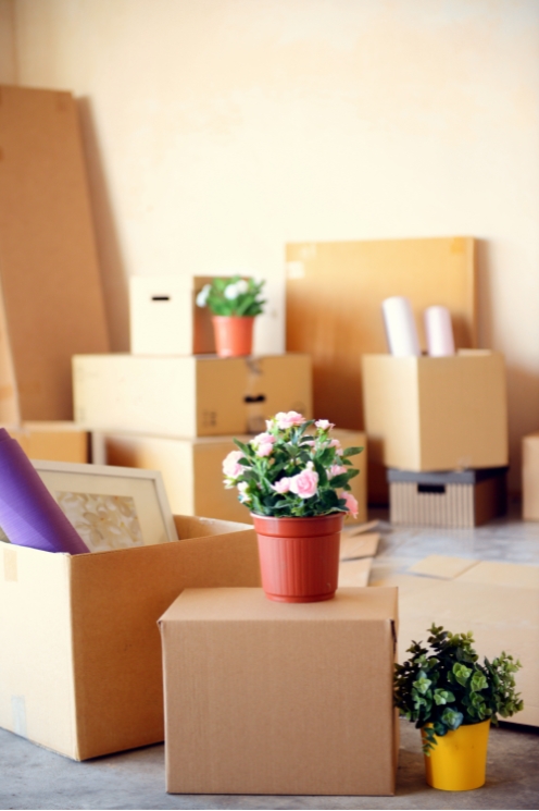 cartons demenagement fleurs