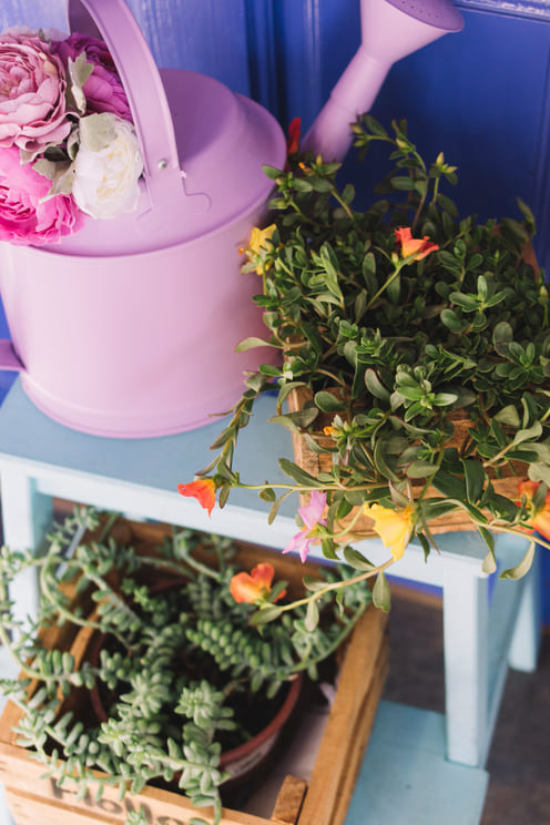 arrosoir rose sur une étagére